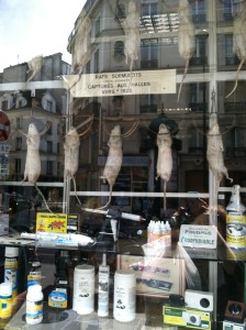 Auroze shop window